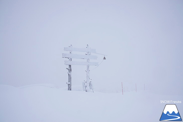 ルスツリゾート 早くも三山連結・総コース滑走距離 19.8㎞！そして、全コースパウダースノー♪